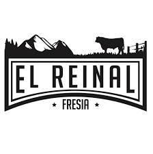 logo 12